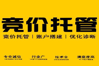 成功案例：SEM推广竞价代运营助力企业转型